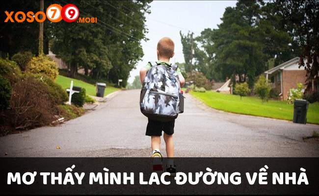 Giấc mơ thấy mình bị lạc đường về nhà là gì?